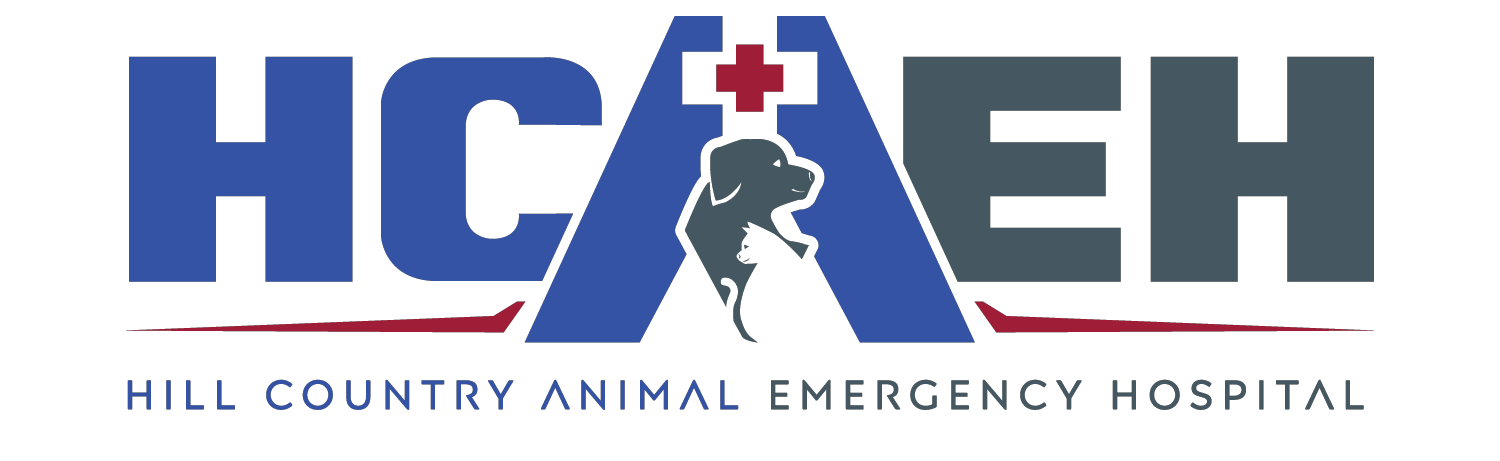 hill country animal hospital